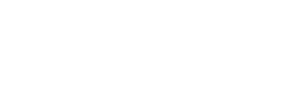 CEO Marketing